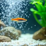 floating debris in aquarium