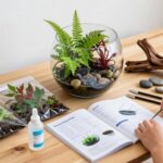 beginner s guide to aquascaping