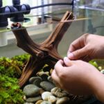 budget friendly tank transformations