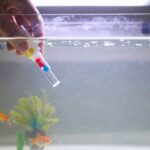 clear your tank water