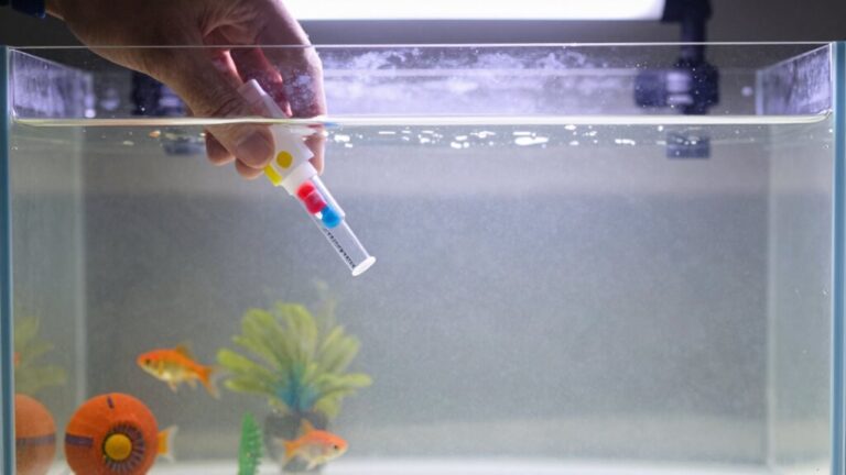 clear your tank water