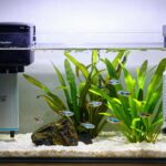 essential equipment for aquariums