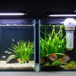 filter options for aquariums
