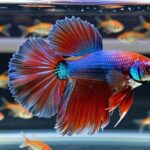 overpopulation harms fish health