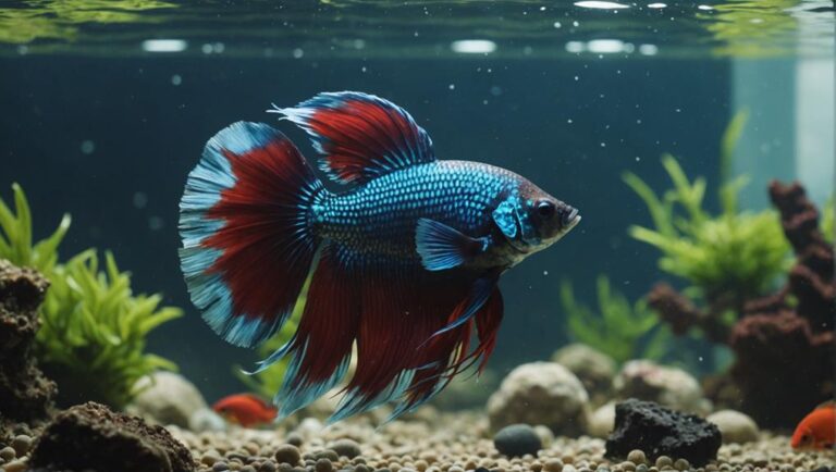 Beautiful view of Fish That Won'T Fall Ill In A Well Maintained Aquarium